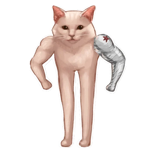 кошка кошки малого и среднего размера домашняя кошка