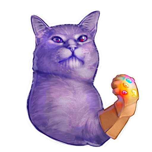 кошки малого и среднего размера млекопитающее домашняя кошка