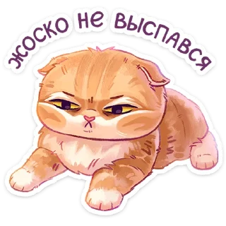 Sticker Мявс от @TgSticker - 11