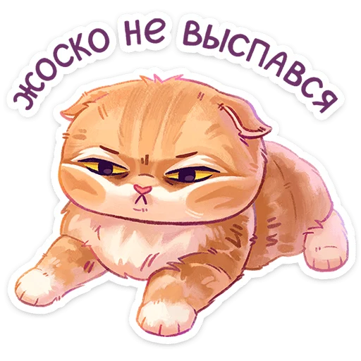 Стикер meowsvk - 1