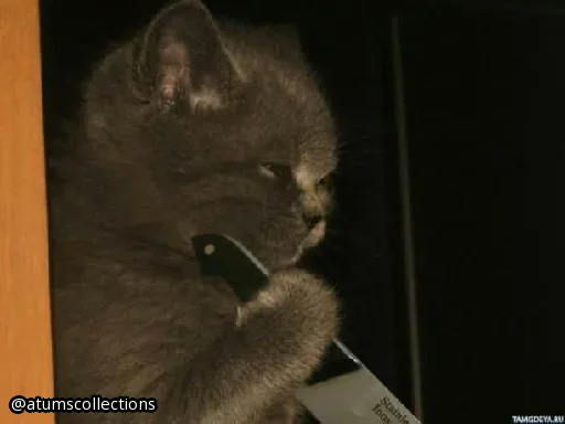 Sticker meoww_meow - 1