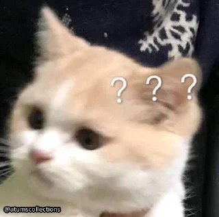 Стикер meow 🐱 | @atumscollections - 3