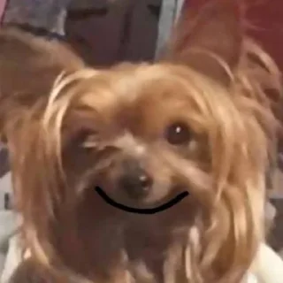 Стикер mehrrrra - 1