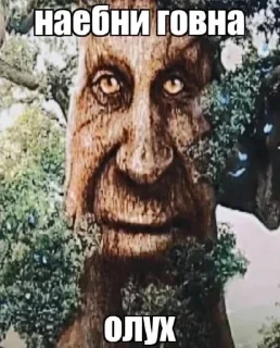 Стикер месиво 2 - 3