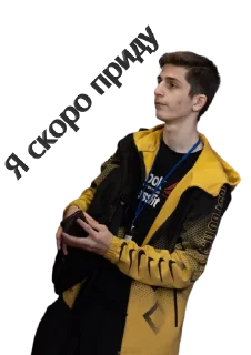 Sticker metavoles - 11