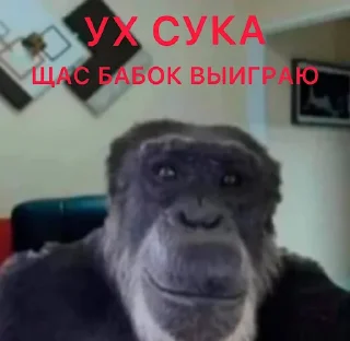 Sticker Заряд на Успех by Methaqualonex - 7