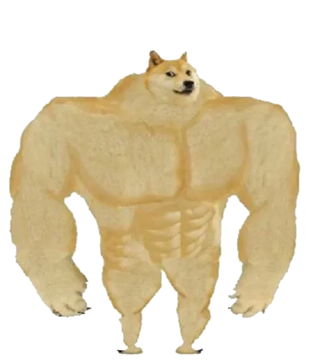 эскиз медведь млекопитающее