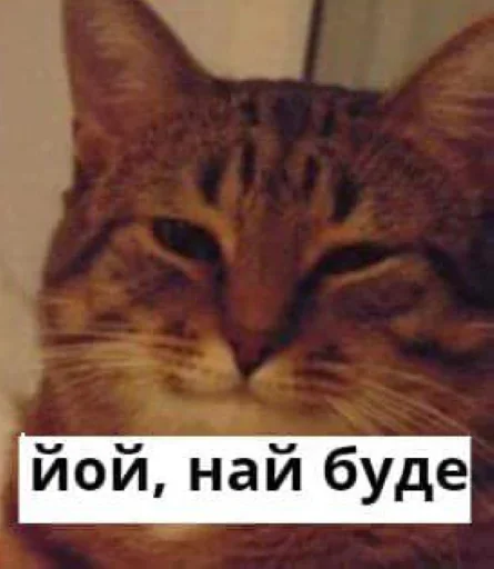 СМС млекопитающее животное