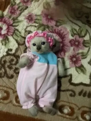 людино, не воровать - 