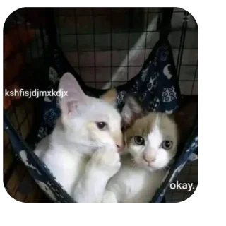 Стикер людино, не воровать - 9