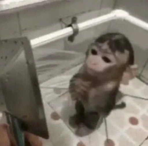 indoor bathroom plumbing fixture