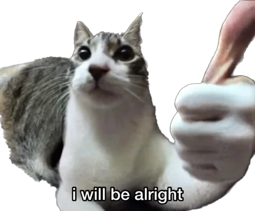 Стикер mfromliza - 1