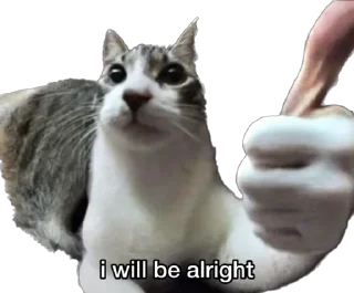 Sticker мемы от лизы - 7