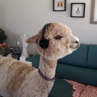 Sticker Больше стиков тут: @stikery4 - 3