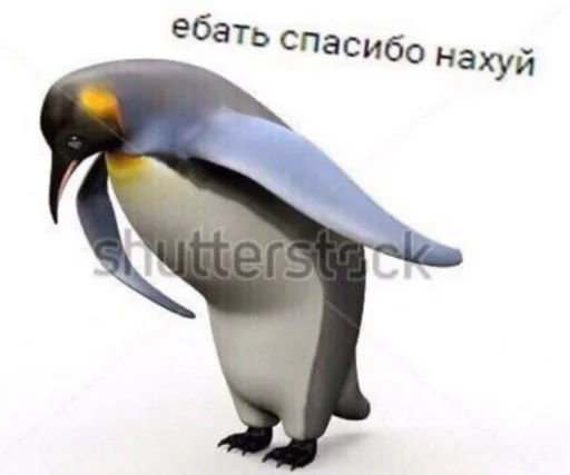 животное водная птица птица