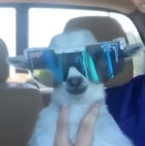 Человек зеркало автомобиль