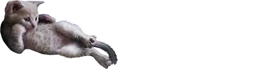 млекопитающее животное искусство