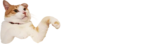 животное млекопитающее домашнее животное