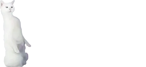 животное млекопитающее домашняя кошка