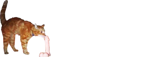 животное млекопитающее домашняя кошка