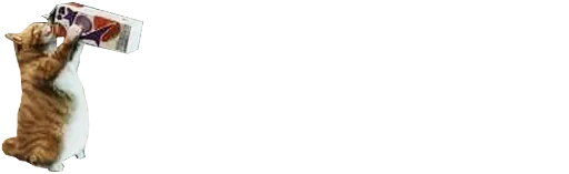 text soft drink mammal