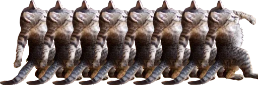 animal natural material fossil