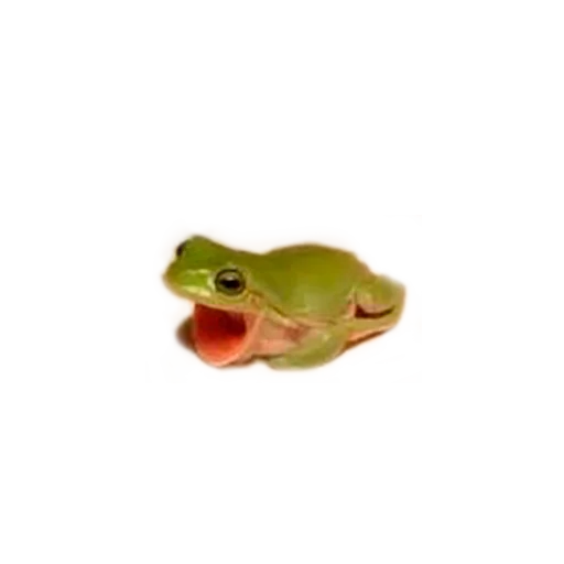 Sticker microchels - 1