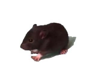 Стикер микрочелы - 3