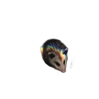 Стикер микрочелы - 8