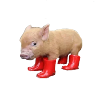 Стикер микрочелы - 5