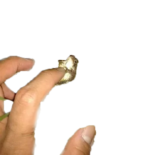 Стикер микрочелы - 10