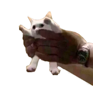 Стикер микрочелы - 0