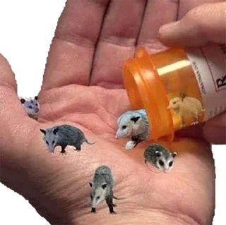 Стикер микрочелы - 4