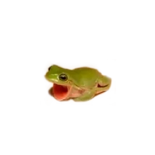 Стикер микрочелы - 1