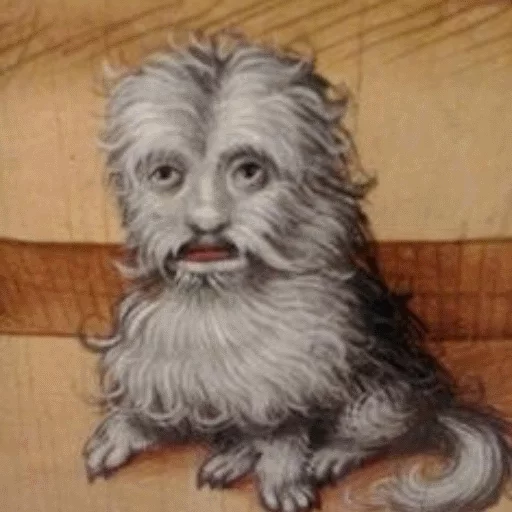 mammal animal sketch