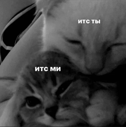 Стикер llluubov :: @fStikBot - 1