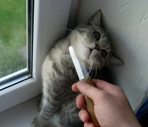 Sticker miiu by @fStikBot - 4