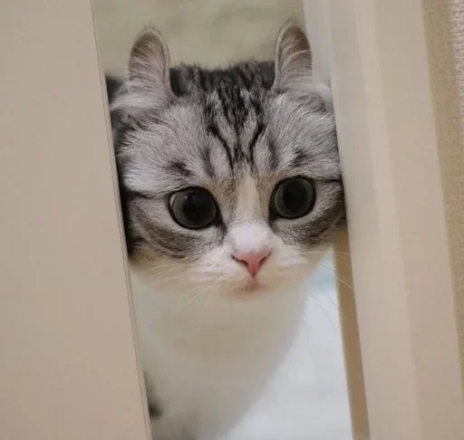 Sticker miiu by @fStikBot - 0