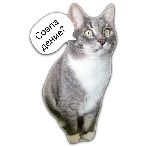 Больше стикеров 👉🏻 @stickertg4 - 