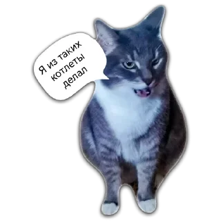 Стикер Больше стикеров 👉🏻 @stickertg4 - 6