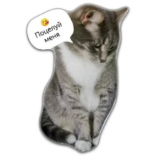 Стикер Больше стикеров 👉🏻 @stickertg4 - 10