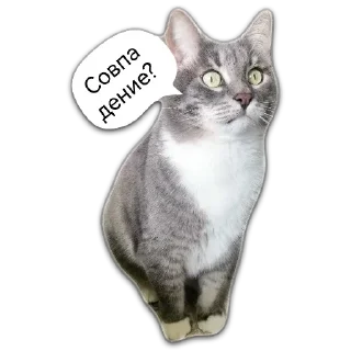 Стикер Больше стикеров 👉🏻 @stickertg4 - 7