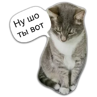 Стикер Больше стикеров 👉🏻 @stickertg4 - 1