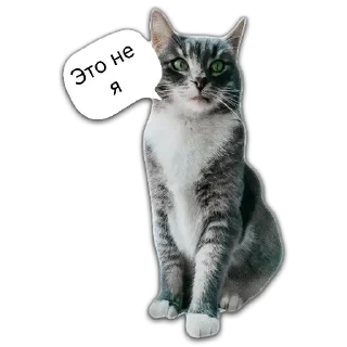 Стикер Больше стикеров 👉🏻 @stickertg4 - 11