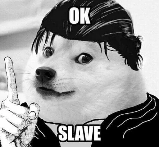 черно-белый Человек собака