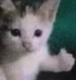 Стикер Котики - 0