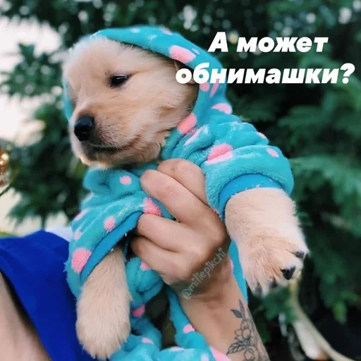 Стикер Милая псина @chirpani - 5