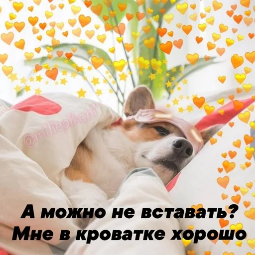 Стикер Милая псина @chirpani - 3