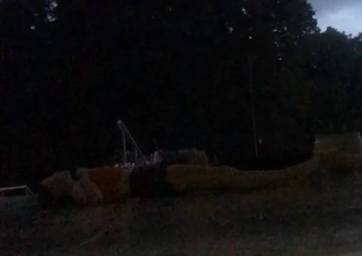 на открытом воздухе дерево небо