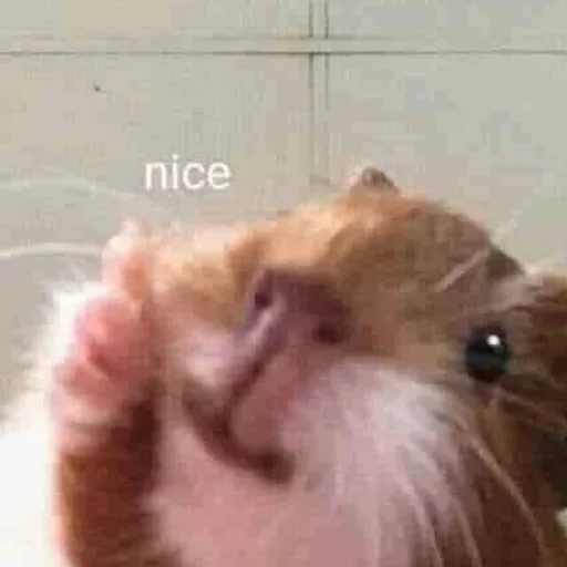 Больше @sbornik_stickers1 - 